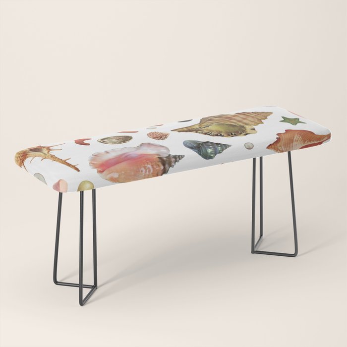 Shell collection Bench Gallery Image 1