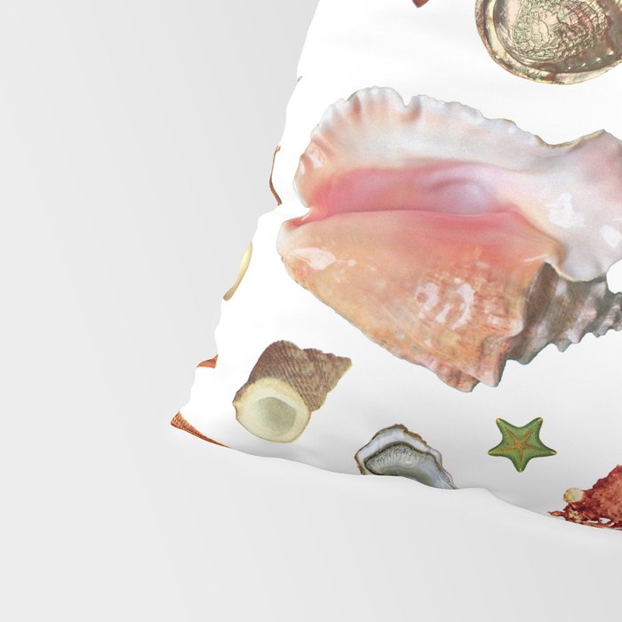 Shell collection Pillow Sham Gallery Image 4