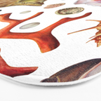 Shell collection Bath Mat Gallery Image 3