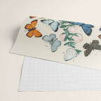 Vintage Scientific Illustration Butterfly Botanical Floral Lithograph Encyclopaedia Diagrams  Wrapping Paper Gallery Image 2