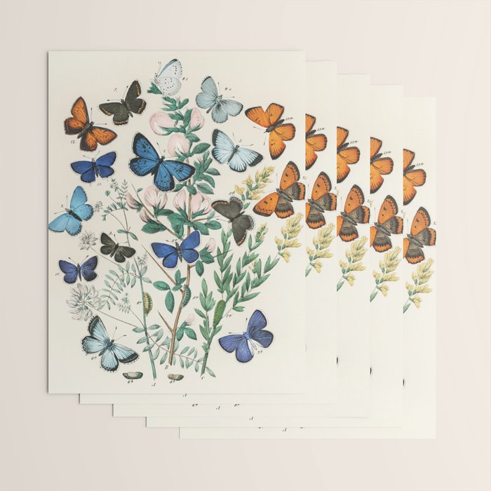 Vintage Scientific Illustration Butterfly Botanical Floral Lithograph Encyclopaedia Diagrams  Wrapping Paper Gallery Image 3
