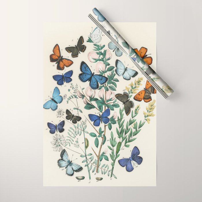 Vintage Scientific Illustration Butterfly Botanical Floral Lithograph Encyclopaedia Diagrams  Wrapping Paper Gallery Image 1