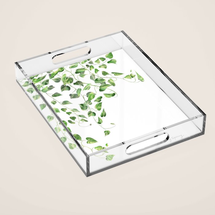 Golden Pothos - Ivy Acrylic Tray Gallery Image 1