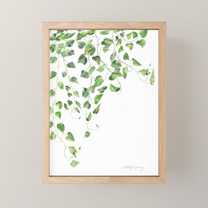 Golden Pothos - Ivy Mini Art Print Gallery Image 1