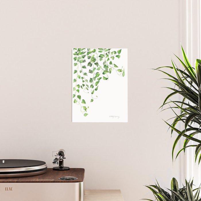 Golden Pothos - Ivy Poster Gallery Image 2