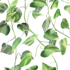 Golden Pothos - Ivy Coffee Mug Gallery Image 2