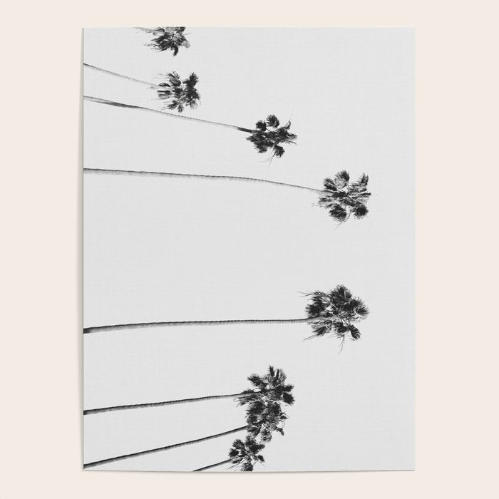 Black & White Palms Poster Gallery Image 4