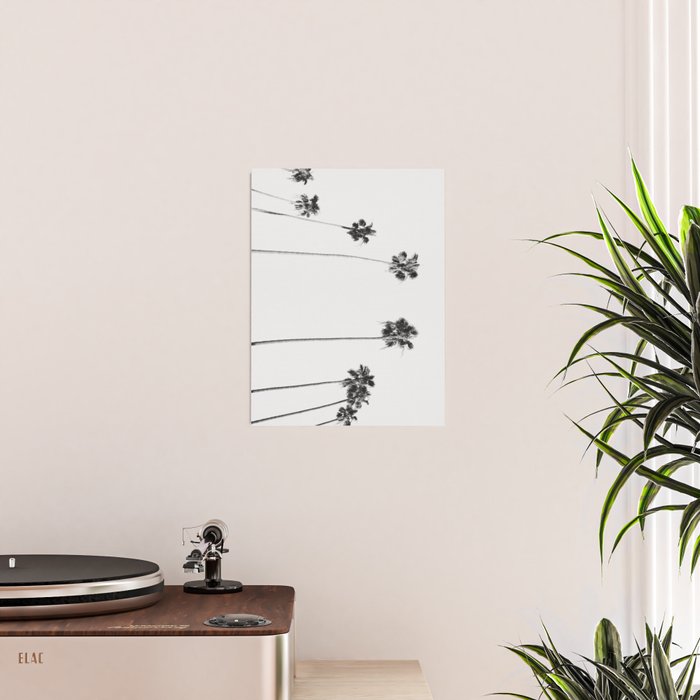 Black & White Palms Poster Gallery Image 2