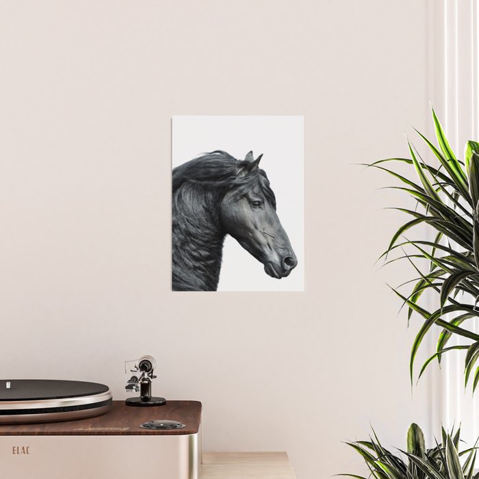 Black Beauty - Minimalist Black and White Photography Poster Gallery Image 2