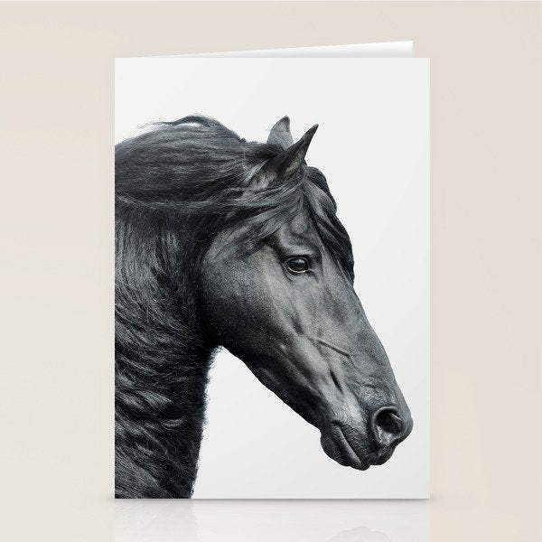 Black Beauty - Minimalist Black and White Photography Stationery Card Gallery Image 2