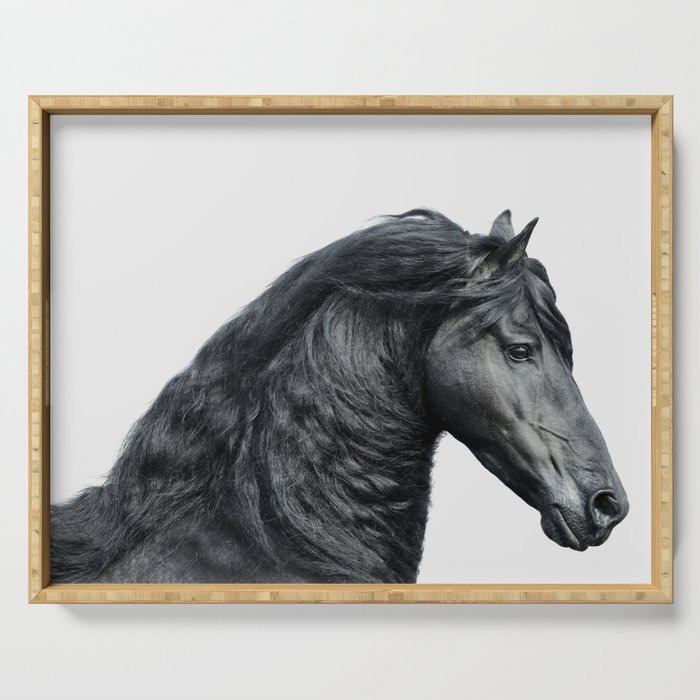Black Beauty - Minimalist Black and White Photography Serving Tray Gallery Image 1
