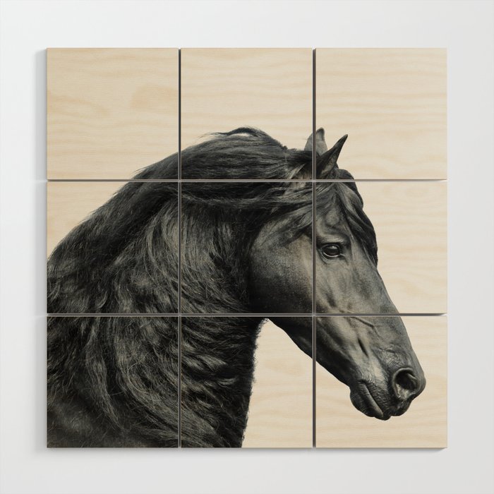 Black Beauty - Minimalist Black and White Photography Wood Wall Art Gallery Image 1