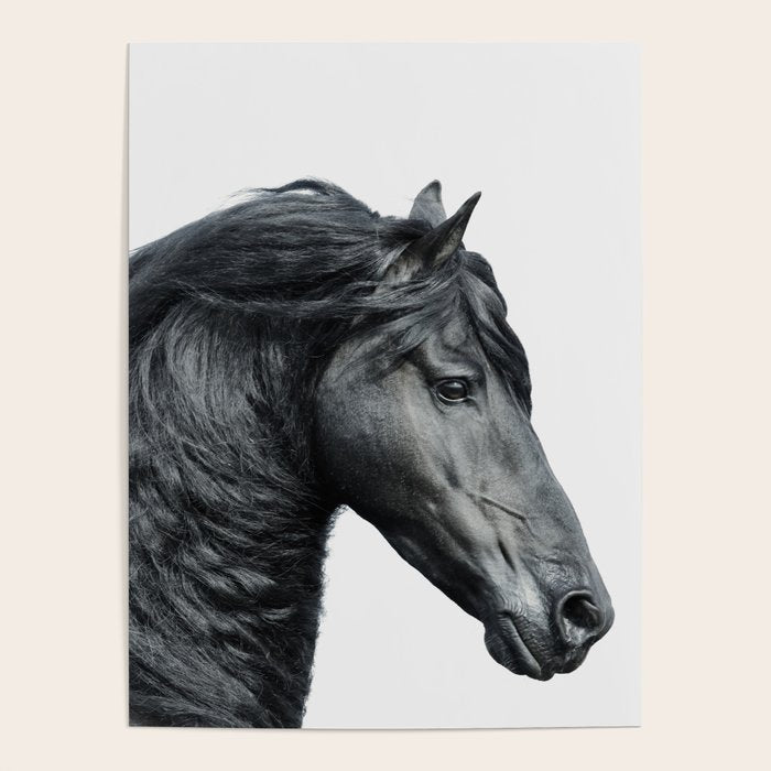 Black Beauty - Minimalist Black and White Photography Poster Gallery Image 4