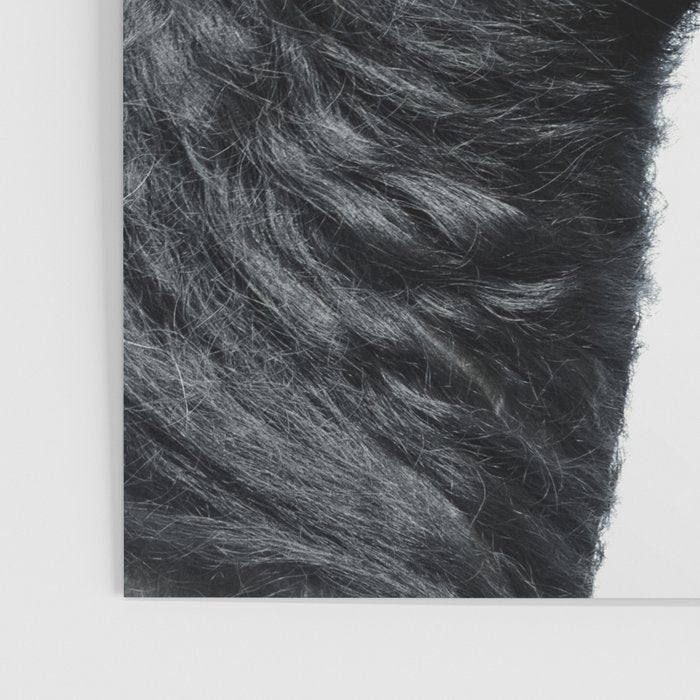 Black Beauty - Minimalist Black and White Photography Poster Gallery Image 3