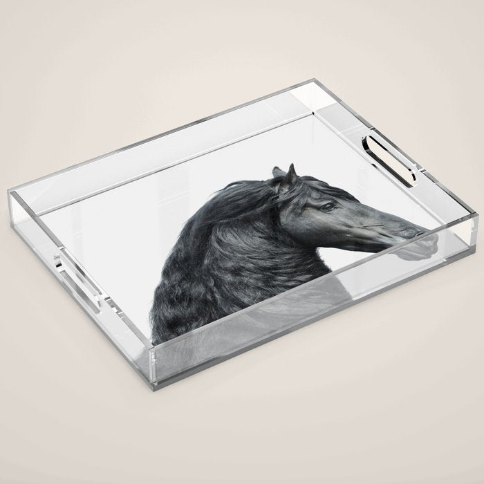 Black Beauty - Minimalist Black and White Photography Acrylic Tray Gallery Image 1