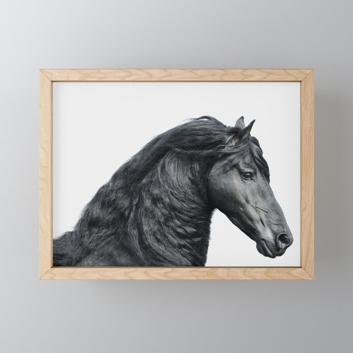 Black Beauty - Minimalist Black and White Photography Mini Art Print Gallery Image 1