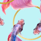 HullaHoops, Eclectic Colorful Fish Graphic Design, Animals Gold Rings Surrealism Quirky Coffee Mug Gallery Image 2