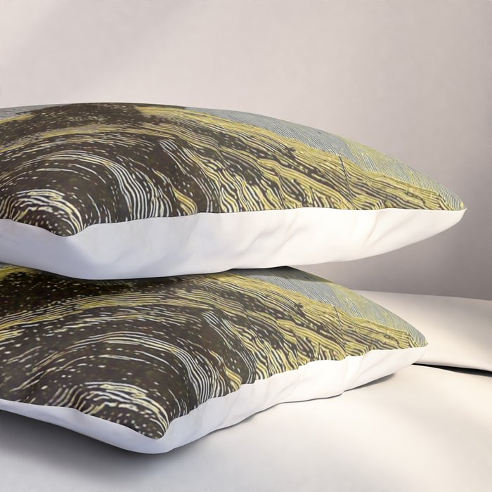 Astronomy for amateurs - 1904 Star Night Sky Landscape Pillow Sham Gallery Image 3