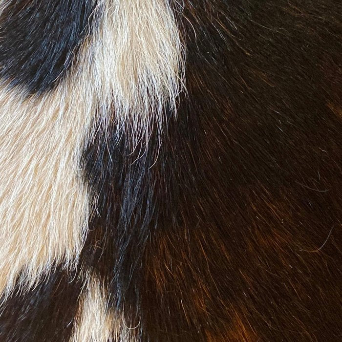 Cowhide Farmhouse Decor  Coffee Mug Gallery Image 2