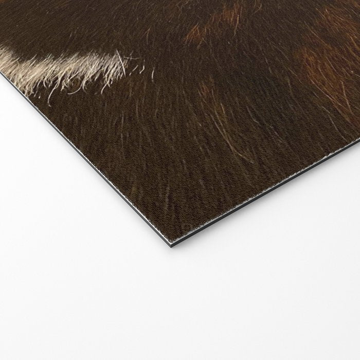 Cowhide Farmhouse Decor  Welcome Mat Gallery Image 2