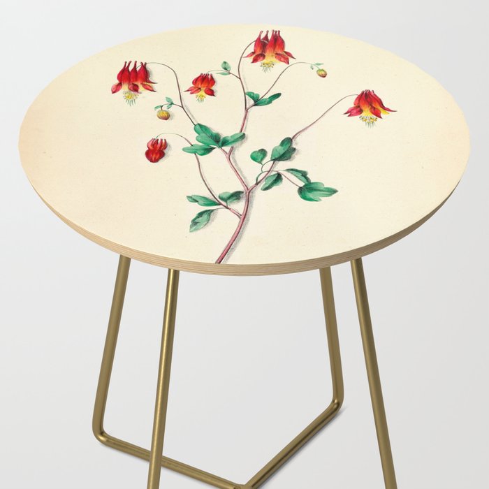  Wild Columbine by Clarissa Munger Badger, 1859 (benefitting The Nature Conservancy) Side Table Gallery Image 2