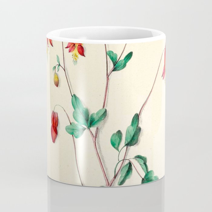  Wild Columbine by Clarissa Munger Badger, 1859 (benefitting The Nature Conservancy) Coffee Mug Gallery Image 4