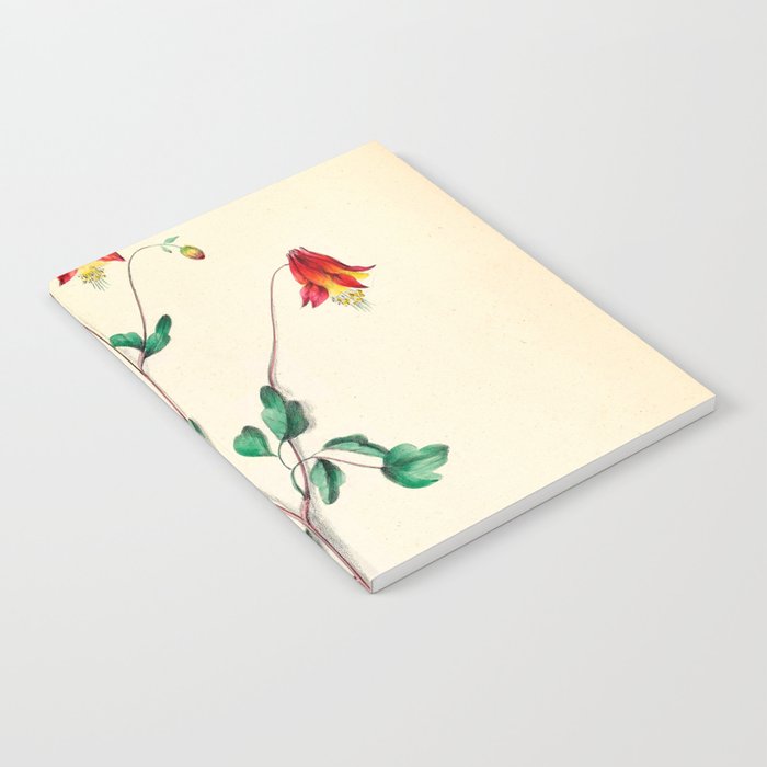  Wild Columbine by Clarissa Munger Badger, 1859 (benefitting The Nature Conservancy) Notebook Gallery Image 2