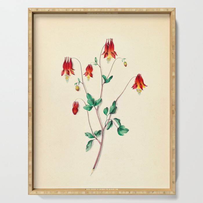  Wild Columbine by Clarissa Munger Badger, 1859 (benefitting The Nature Conservancy) Serving Tray Gallery Image 1