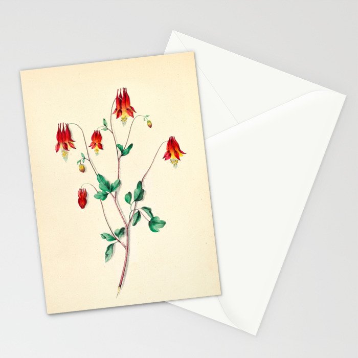  Wild Columbine by Clarissa Munger Badger, 1859 (benefitting The Nature Conservancy) Stationery Card Gallery Image 2