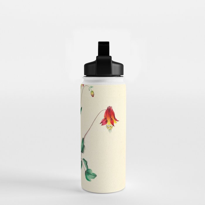 Wild Columbine by Clarissa Munger Badger, 1859 (benefitting The Nature Conservancy) Water Bottle Gallery Image 2