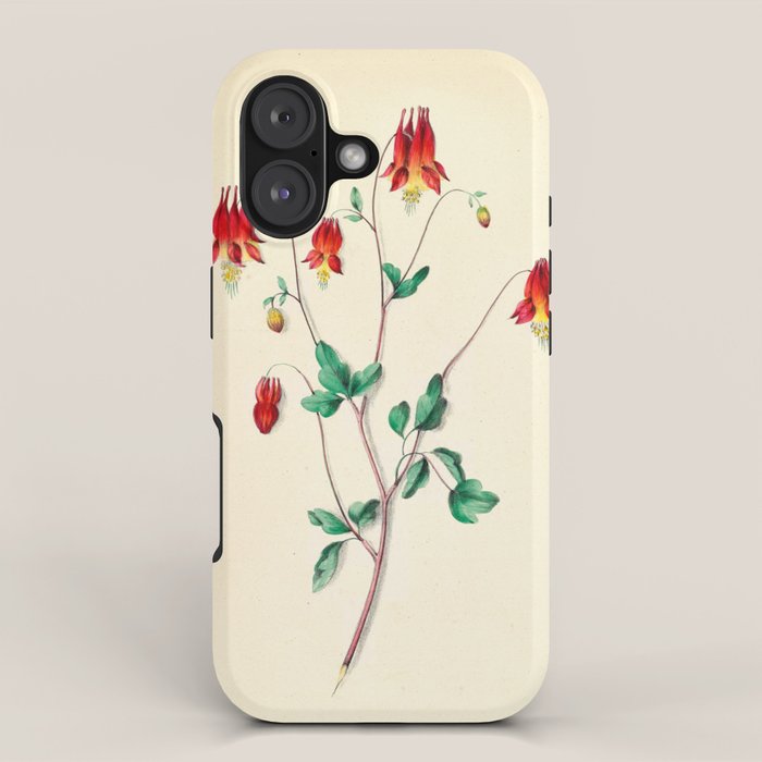  Wild Columbine by Clarissa Munger Badger, 1859 (benefitting The Nature Conservancy) iPhone Case Gallery Image 1