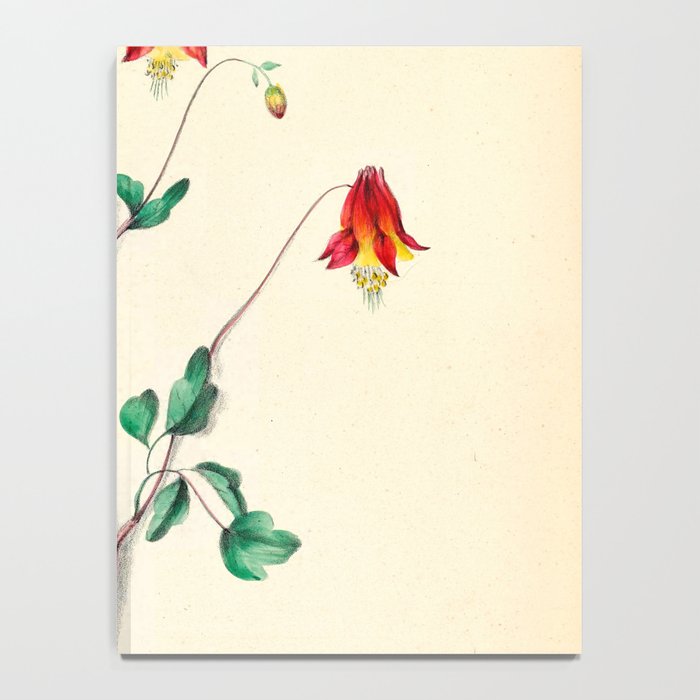  Wild Columbine by Clarissa Munger Badger, 1859 (benefitting The Nature Conservancy) Notebook Gallery Image 4