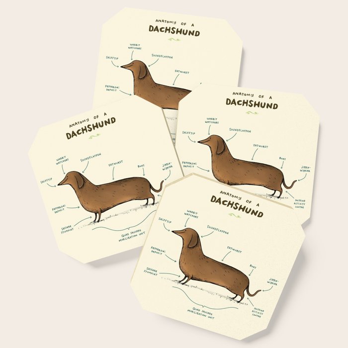 Anatomy of a Dachshund Coaster Gallery Image 1