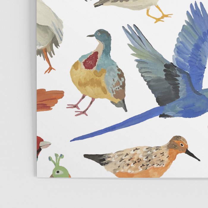 Endangered Birds Around the World Poster Gallery Image 3