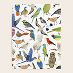 Endangered Birds Around the World Poster Gallery Image 4