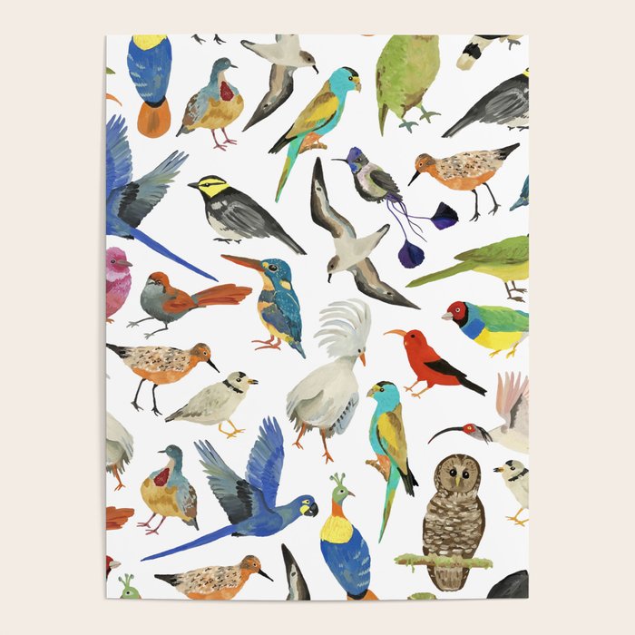 Endangered Birds Around the World Poster Gallery Image 1