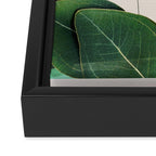 Abstract Botanical 3 Framed Canvas Print Gallery Image 3