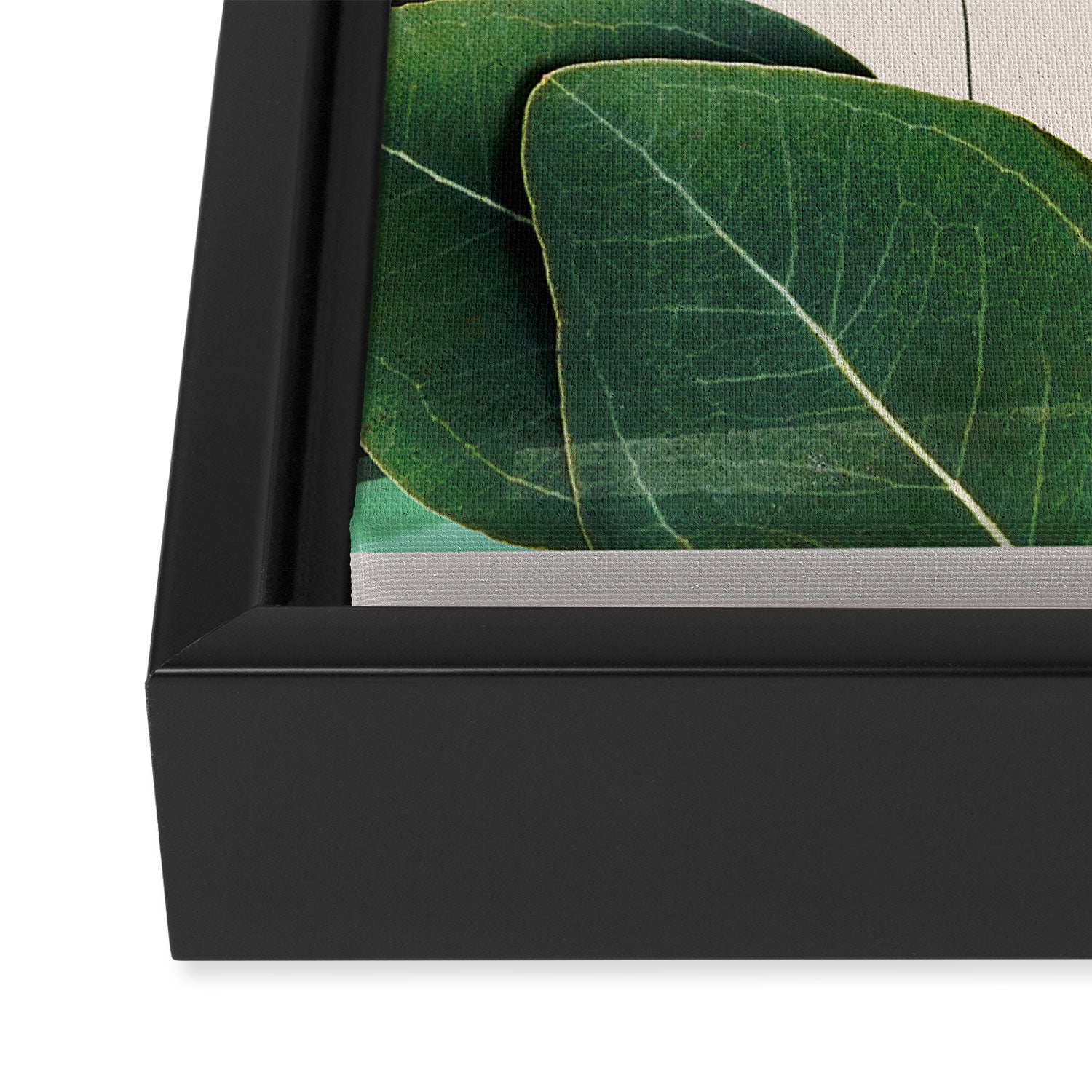Abstract Botanical 3 Framed Canvas Print Gallery Image 3