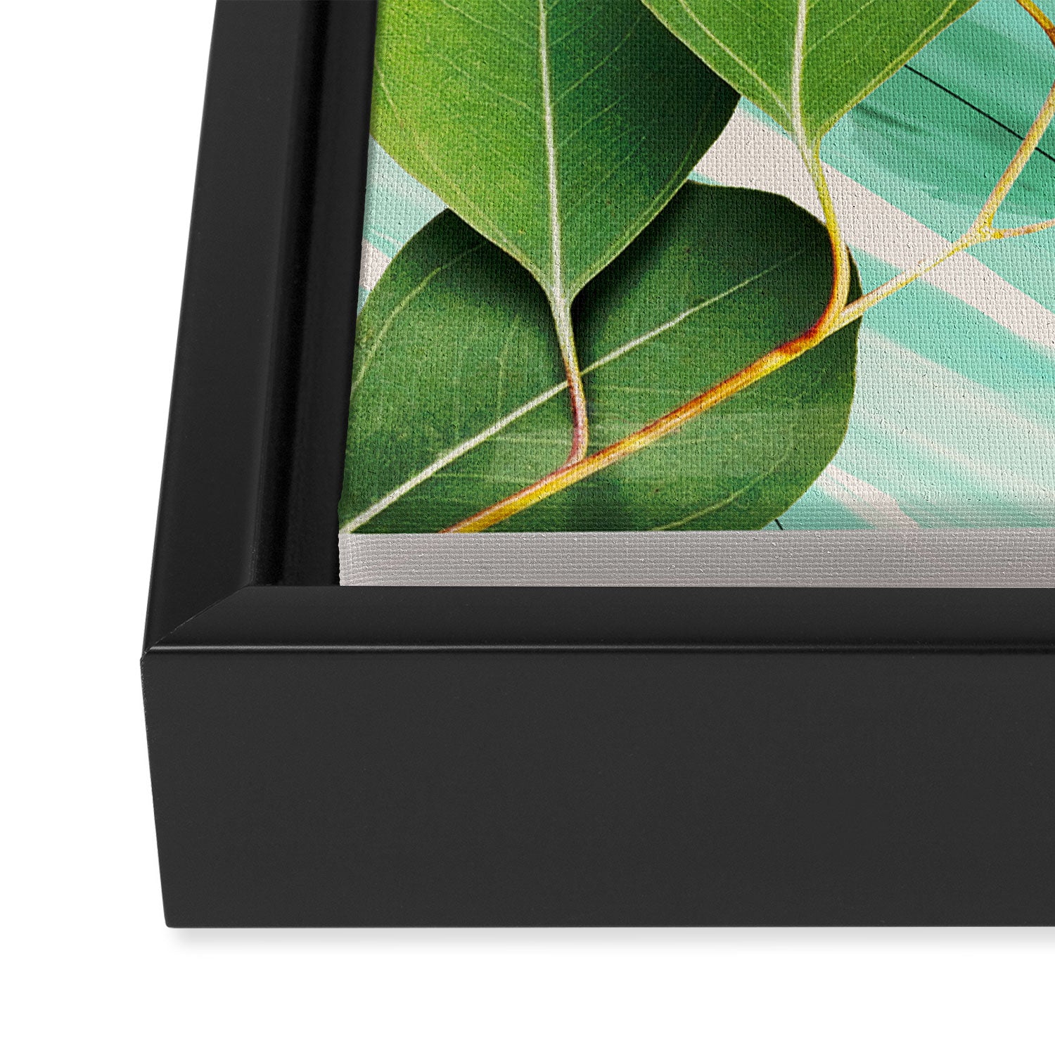 Abstract Botanical 4 Framed Canvas Print Gallery Image 3