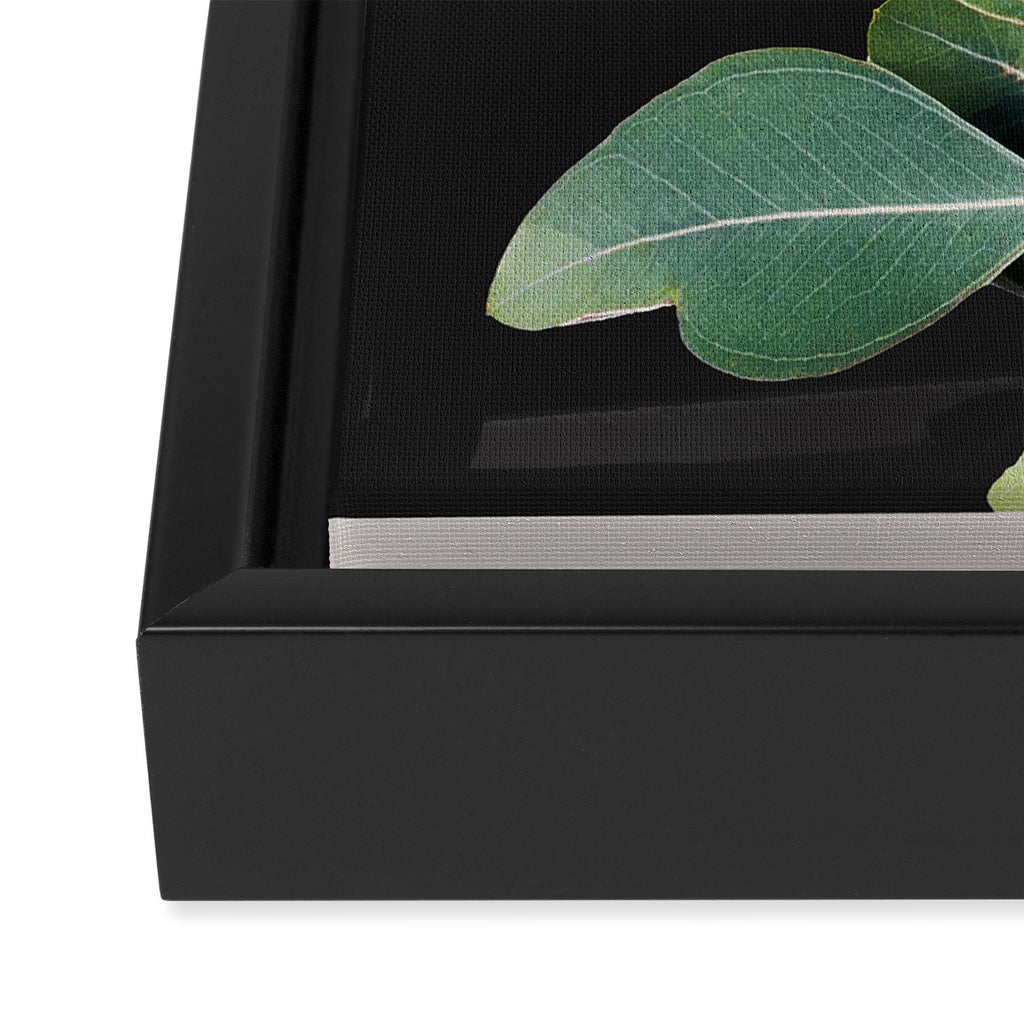Abstract Botanical  Framed Canvas Print Gallery Image 3