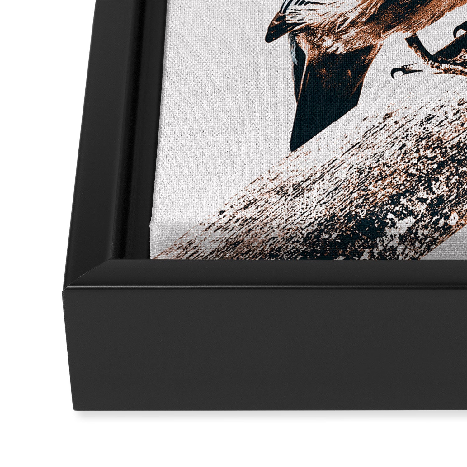 BIRD Framed Canvas Print Gallery Image 3