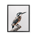 BIRD Framed Canvas Print Gallery Image 6
