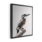 BIRD Framed Canvas Print Gallery Image 2