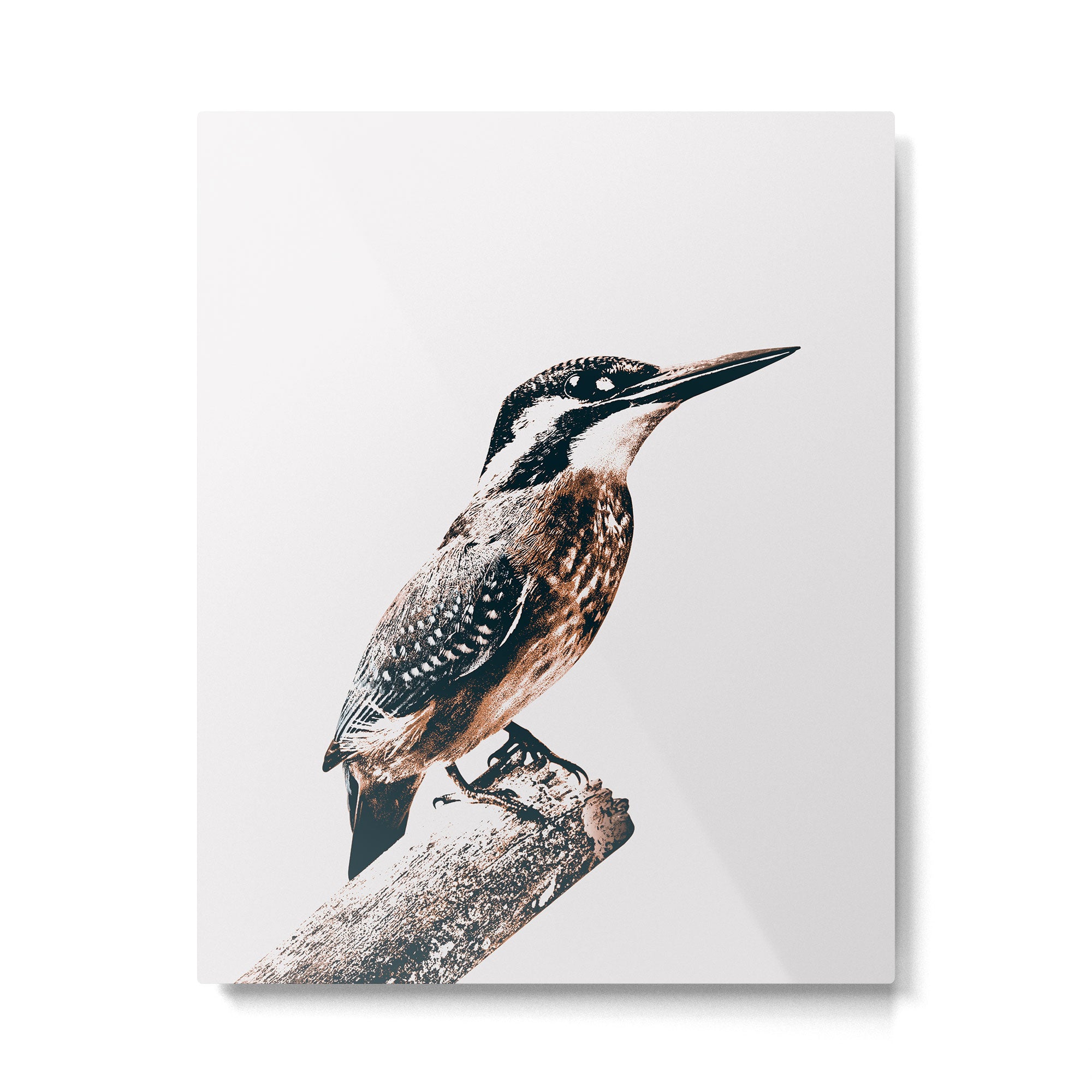 BIRD Metal Print Gallery Image 4
