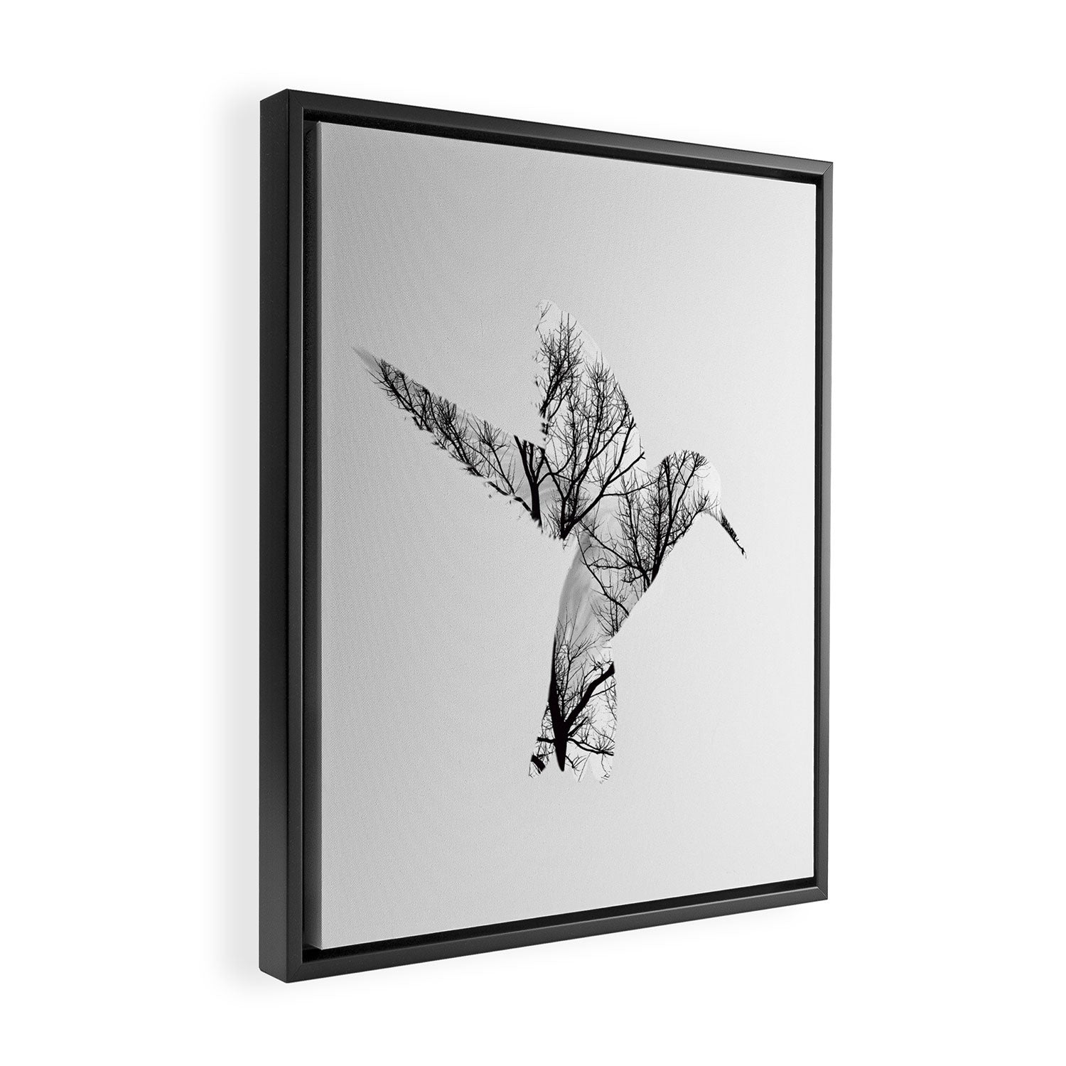 Bird Framed Canvas Print Gallery Image 2