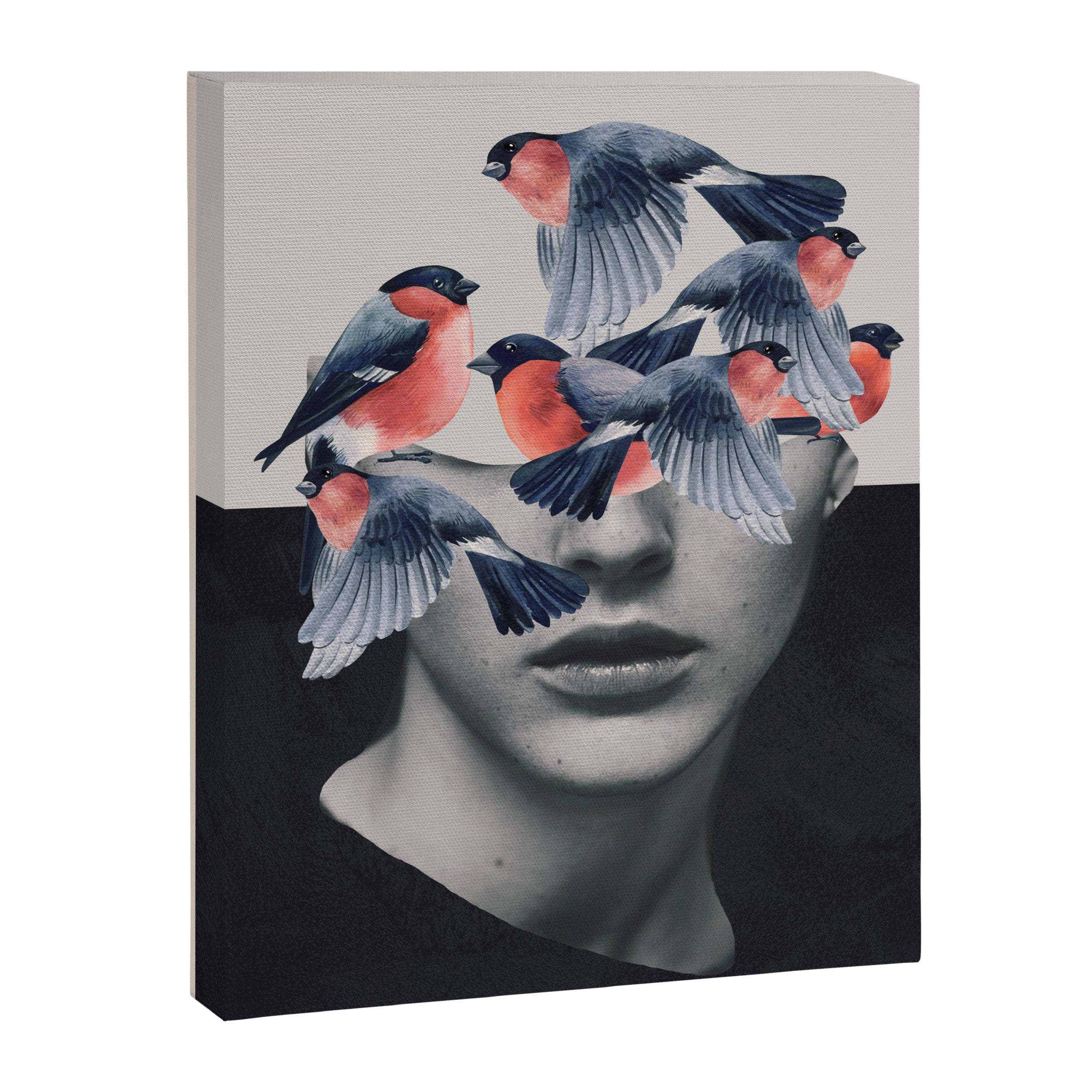 Birds Canvas Print Gallery Image 6