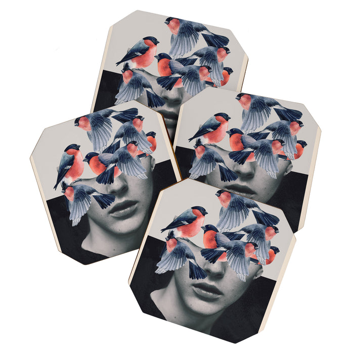 Birds Coaster Gallery Image 1