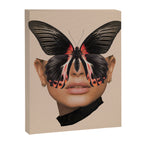 BLACK BUTTERFLY 3 Canvas Print Gallery Image 6