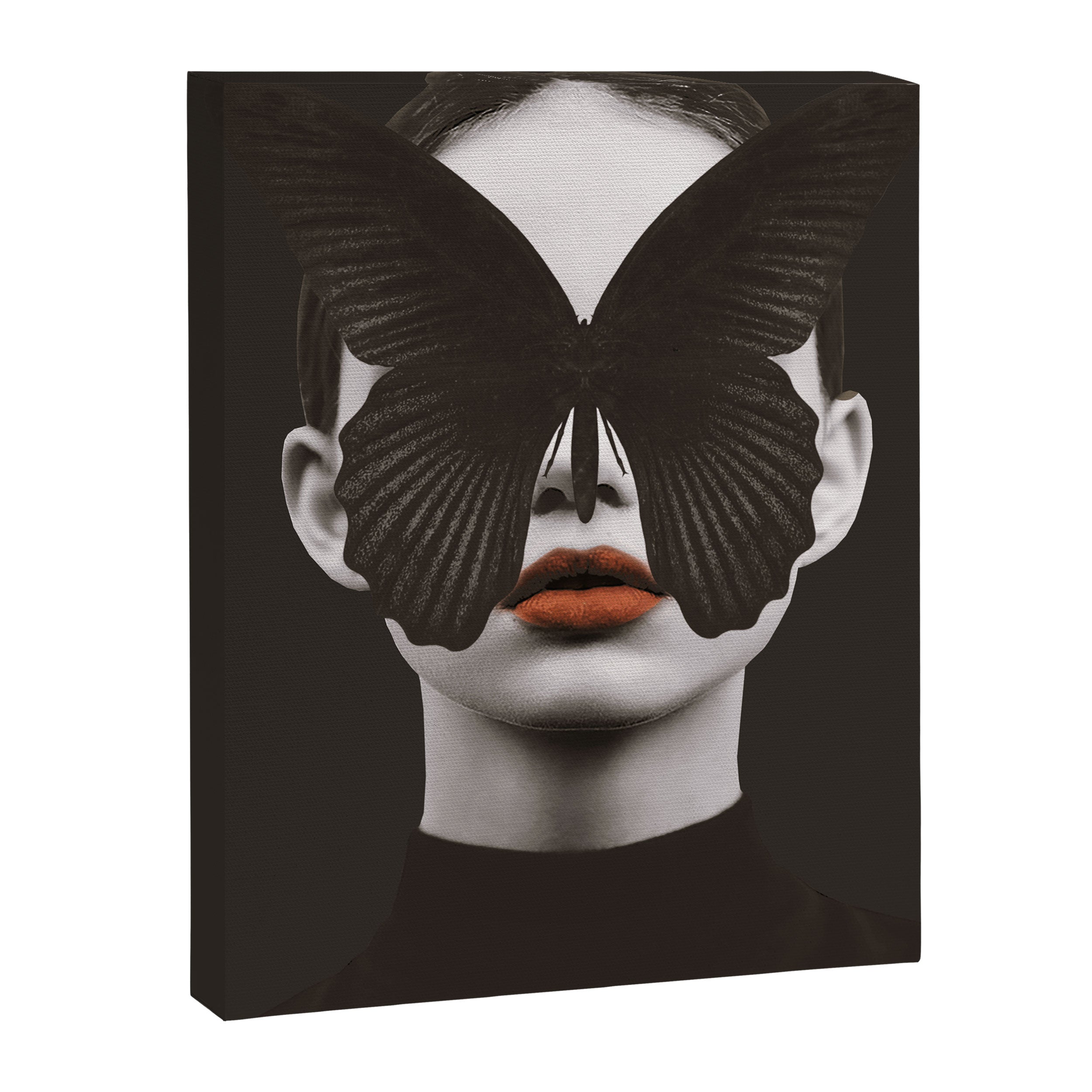 BLACK BUTTERFLY 3 Canvas Print Gallery Image 6