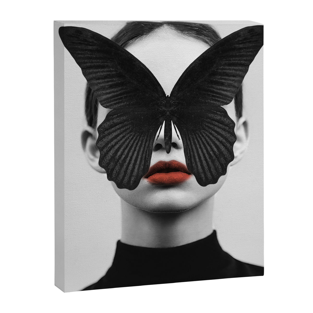 BLACK BUTTERFLY Canvas Print Gallery Image 6